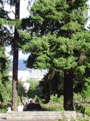 009 View of Portland from Washington Park web.jpg