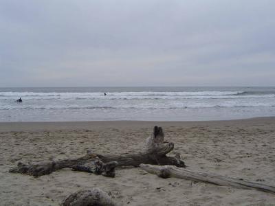 012 Indian Beach-Ecola State Park 9 web.jpg