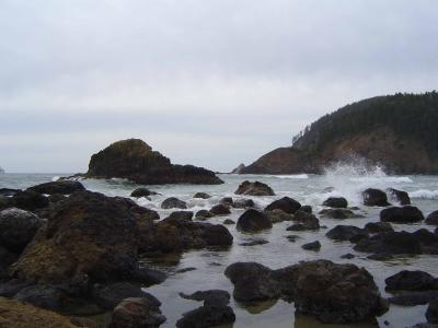 020 Indian Beach-Ecola State Park 17 web.jpg