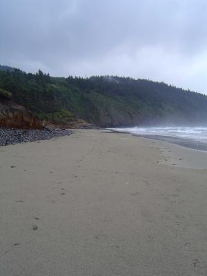 002 Cape Lookout 1 web.jpg