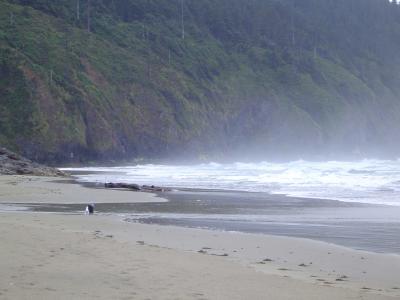 005 Cape Lookout 4 web.jpg
