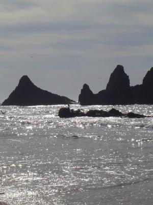 u35/world_of_sarah/medium/23037884.012OtterRocktoYachats022SealRockBeach2web.jpg