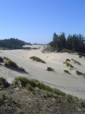 026 Oregon Dunes 1 web.jpg