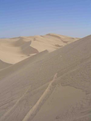 Imperial Sand Dunes 3 web.jpg