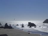 002 Bandon Beach 2 web.jpg