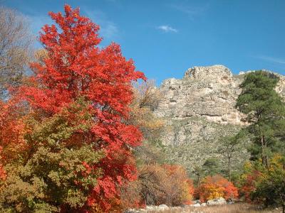 Trip to Guadalupes, McKittrick canyon and Ruidoso NM 11/03