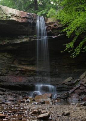 u35/wsbranham/medium/23264329.CRW_6832a.jpg