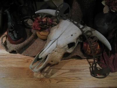 IMG_2301.jpg