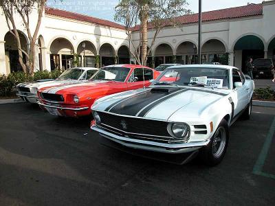 Mustangs in a row