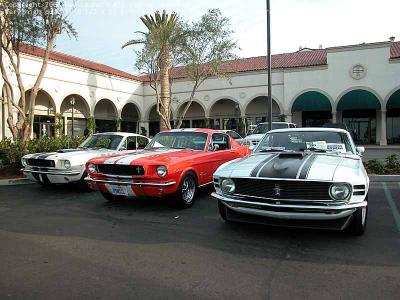 Mustangs in a row