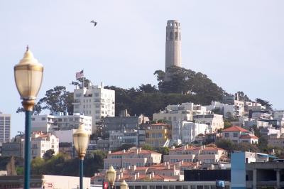 CRW_6969-1.jpg