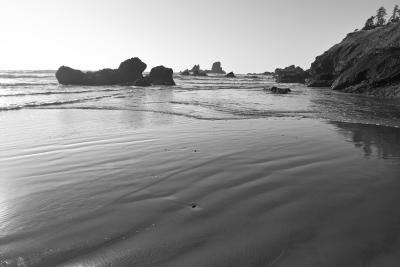 IMG20497.jpg
