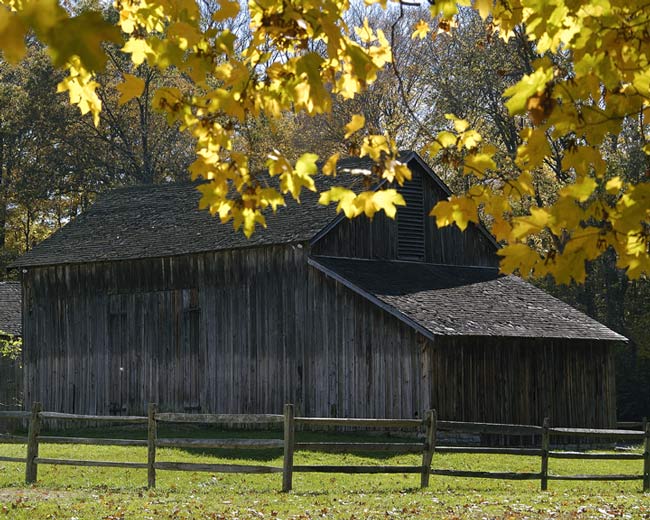 barn_DSC_0299_color_w.jpg