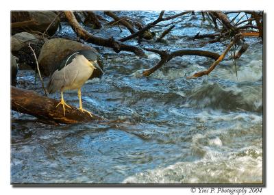 Bad fishing afternoon ...