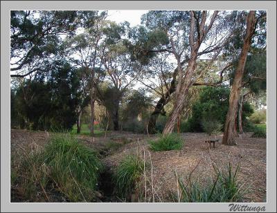 Billabong overflow