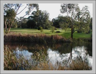 Reflections on the billabong