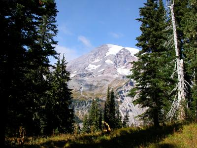 Northwest442.JPG