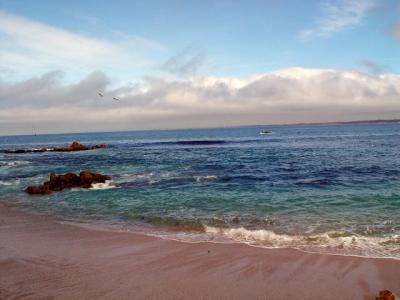 u35/zensimple/medium/14587850.Canneryrow2.jpg