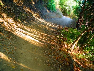 pfeiffer path