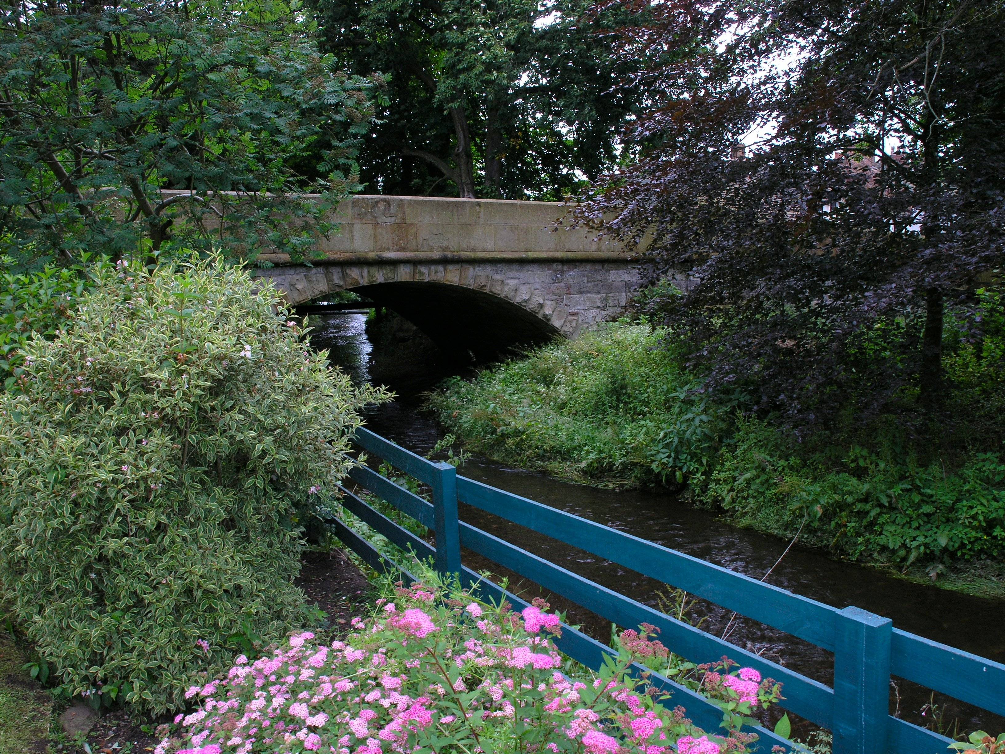 P5260272.JPG