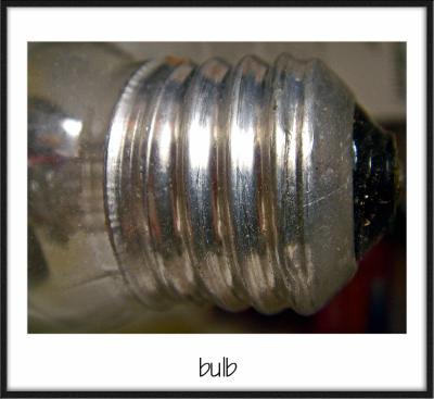 bulb