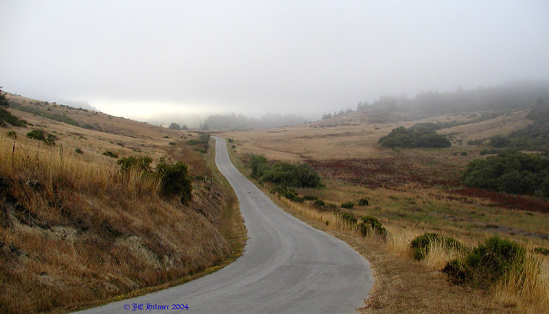 Foggy Road 2 s.jpg