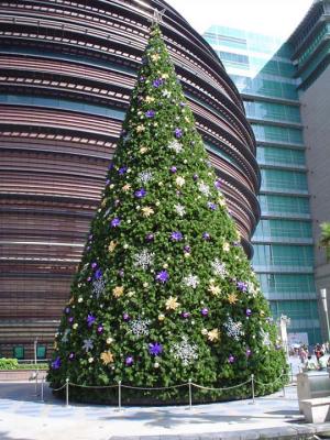 Oh, Christmas Tree!