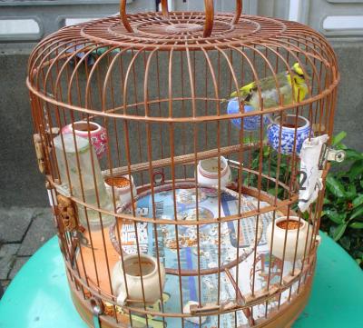 u36/500fan/medium/23732950.SmallYellowSongbird2.jpg