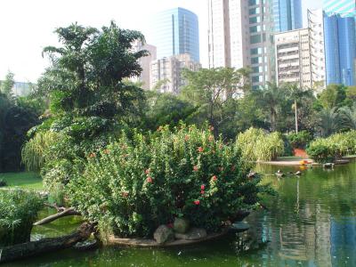 Bird Lake