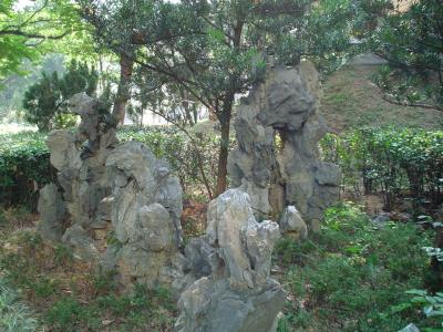 Rocks