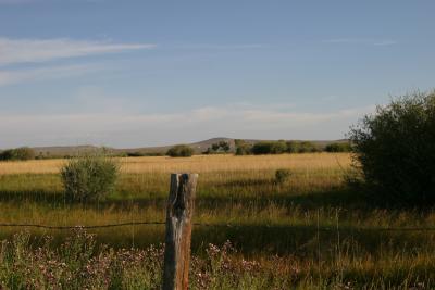 Over the Fence