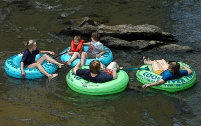 u36/ahearn/medium/32194246.tubers2.jpg