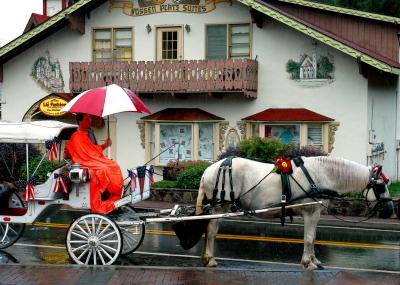 Horse and Carriage