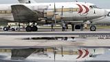 Legendary Airliners (ex-Eastern) DC-7B N836D aviation aircraft stock photo #1018