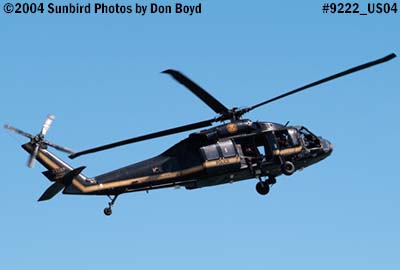 U. S. ICE Sikorsky HH-60 Blackhawk 23297 aviation stock photo #9222