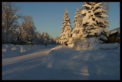 Snow_1503Sml.jpg