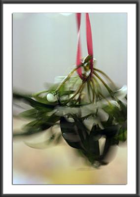 30.12.2003