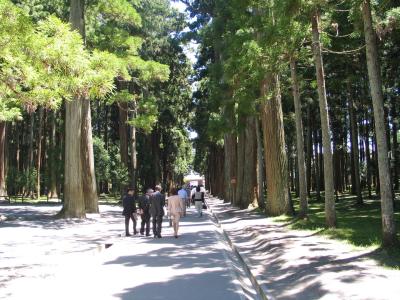 u36/ambadale/medium/32256041.japan055copy.jpg