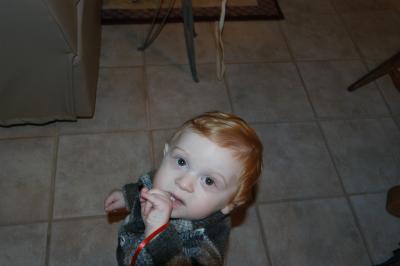 Dorian's first Chanukah Dec , 2003 Gallery