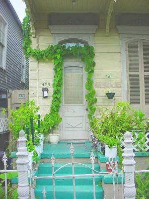 DoorwayVine.jpg