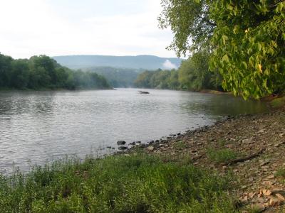 123-2365_IMG.JPG