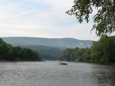 123-2369_IMG.JPG