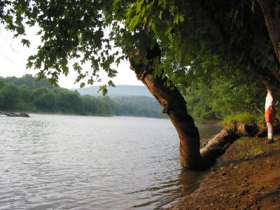 123-2371_IMG.JPG