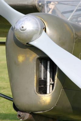u36/annedave/medium/32158746.CRW_5557compressed.jpg