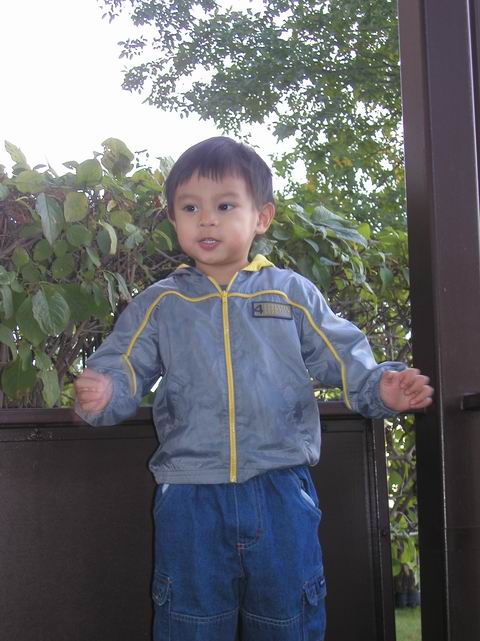 I want to JUMP into them water puddles outside, Papa!