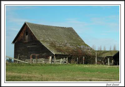 BarnMarch 2