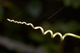 CRW_6950.jpg