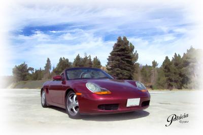 Patricia's Arena Red Boxster & Friends