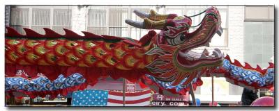 Dragon - Chinese New Year