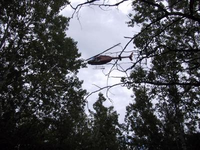 chopper07.jpg